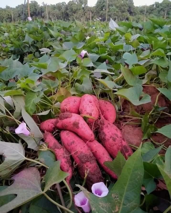 whatsapp image 2026 02 27 at 9.42.29 am