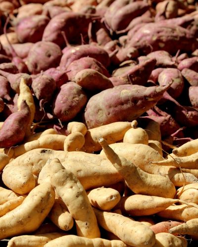 yam, potato, white, food, sweet, baked, healthy, vegetarian, cooked, meal, organic, vegetable, delicious, orange, prepared, roasted, sweet potato, sweet potatoes, vegan, veggies, yam, yam, yam, yam, yam